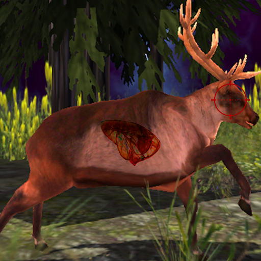 Animal Hunting World Shooting icon