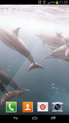River Dolphin Live Wallpaper screenshot 1