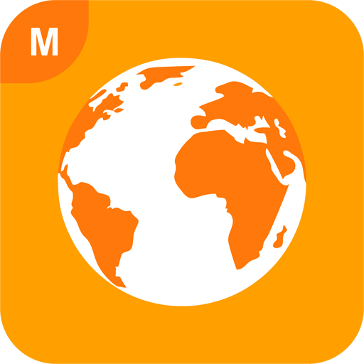 Mini Browser icon