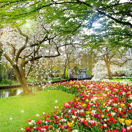 Beautiful Garden Wallpaper screenshot 1