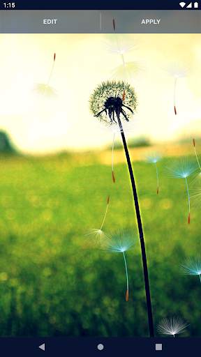 Dandelion Live Wallpaper screenshot 5