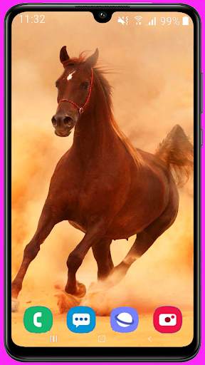 Horse Wallpaper Best HD screenshot 2