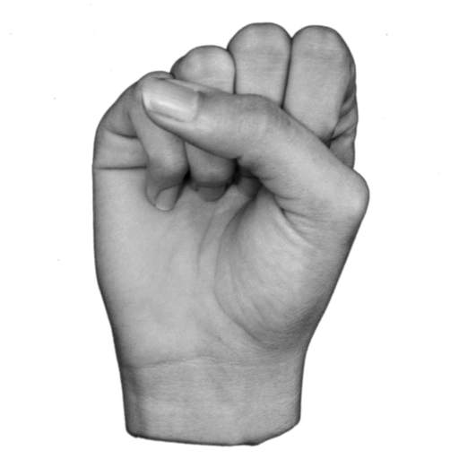 ASL Fingerspelling 2.1.20