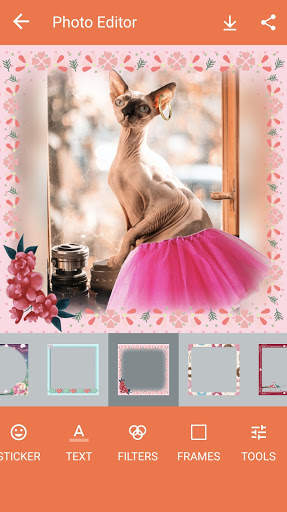 Pet Photo Editor screenshot 8