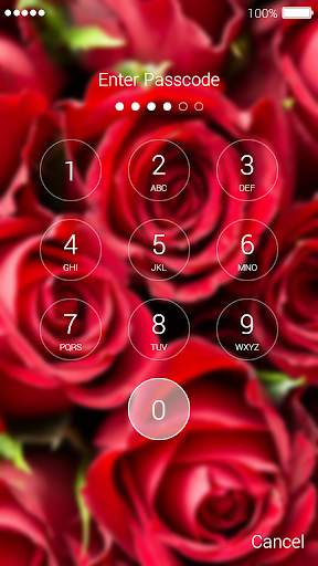 Roses Lock Screen screenshot 3