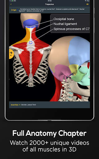 Posture by Muscle & Motion screenshot 15