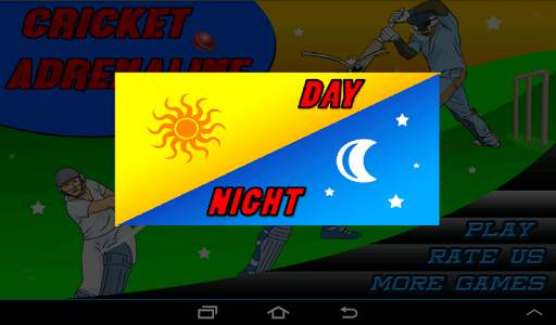 T20 Cricket Blast 2014 screenshot 2