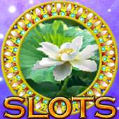 Slots 2017:Free Slot Machines