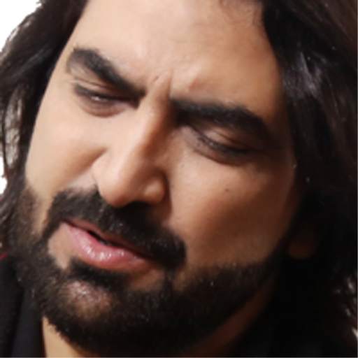 Ameer Hasan Aamir 1.2
