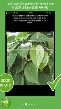 Guide For PlantSnap screenshot 3