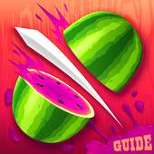 Guide for Fruit Ninja 1.0