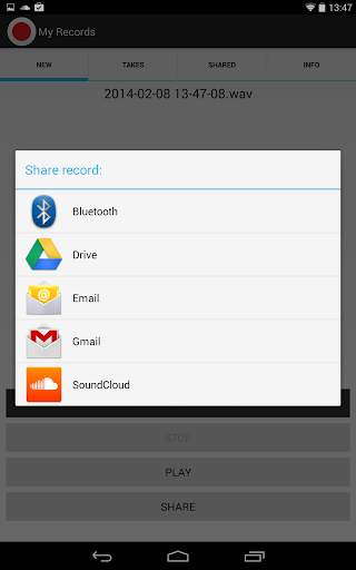 My Records screenshot 6