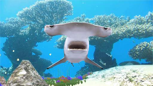 The Hammerhead Shark screenshot 4