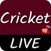 Live Cricket HD Live Streaming 1.0