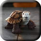 Talking Turtle Live Wallpaper 2.0