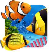 Home Aquarium Live Wallpaper 1.0