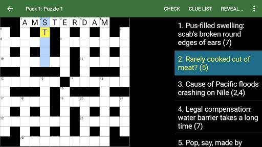 Cryptic Crossword Lite screenshot 6