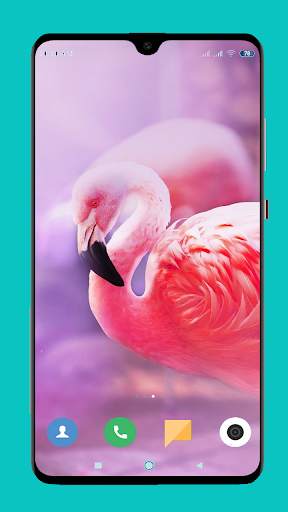 Flamingo wallpaper 4K screenshot 2