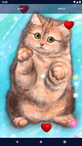 Cute Fluffy Cat Live Wallpaper screenshot 6