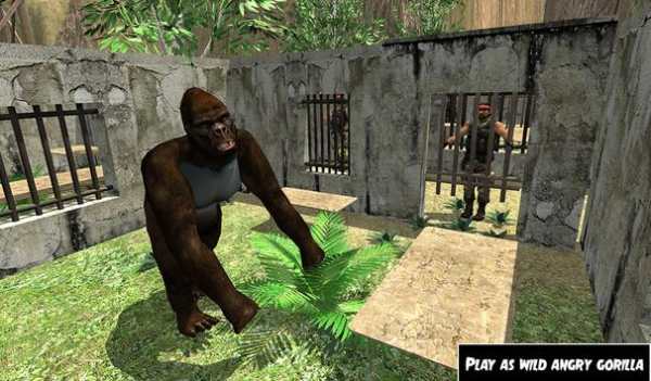 Wild Gorilla Jail Escape – Angry Ape Survival screenshot 6