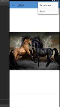 Horse Wallpapers 2017 screenshot 3