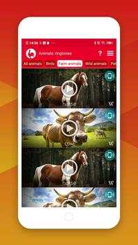 Best Animals Ringtones screenshot 4