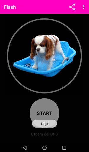 Flash screenshot 5