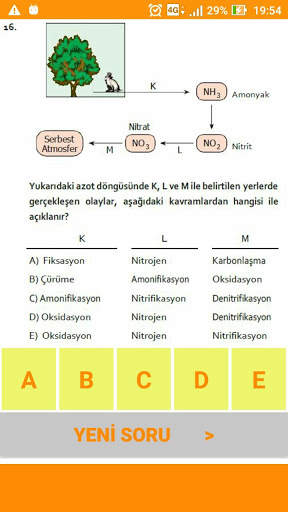 Coğrafya ÖABT Deneme скриншот 4