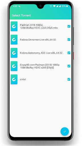 Captain Torrent Downloader screenshot 4