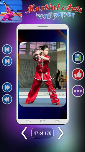 Martial Arts Wallpaper screenshot 8
