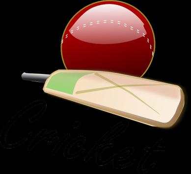Play Cricket screenshot 7