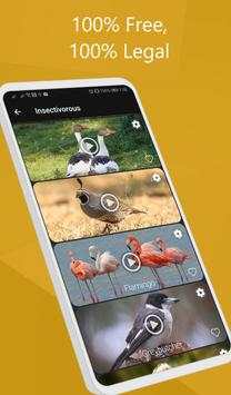 Bird call screenshot 7
