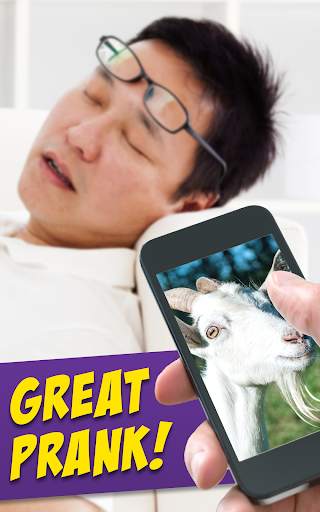 Screaming Goat Air Horn Prank screenshot 3