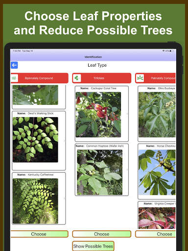 Forest Tree Identification скриншот 8