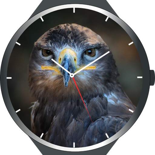 1000  Watch Faces скриншот 12