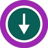 Smart Downloader 1.0