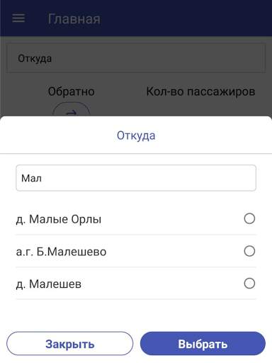 Bus Gomel-Moskva screenshot 12