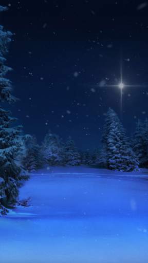 Diggin Winter Live Wallpaper screenshot 5