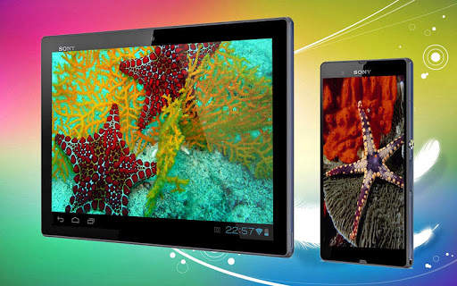 Starfish 3D Free Live Wallpaper screenshot 3