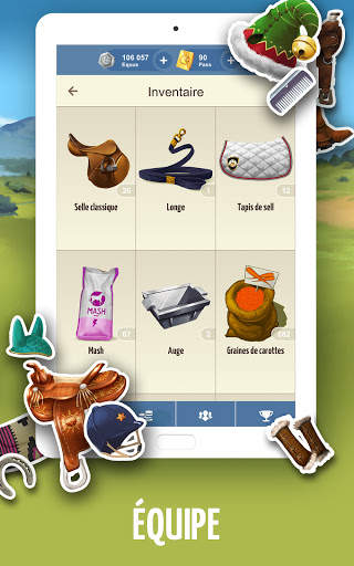 Equideow - jeu gratuit d'élevage de chevaux screenshot 12