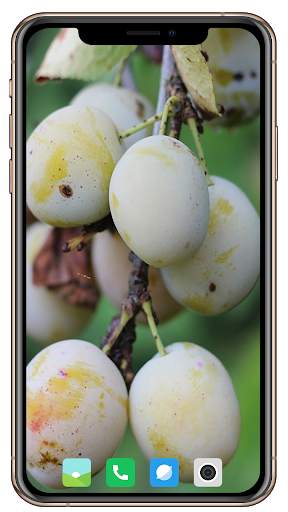Fruit Trees Wallpaper HD screenshot 12
