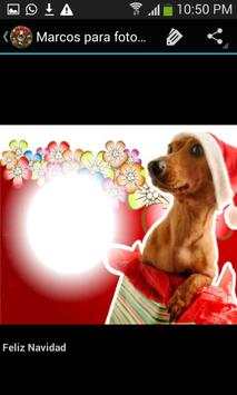 Navidad. Marcos para fotos screenshot 4