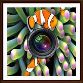 Aquarium Photo background on 9Apps