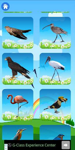 Applira fun learning screenshot 5