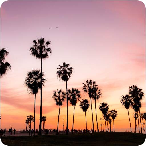 Los Angeles Wallpaper 4K - LA Wallpaper FullHD 1.0.12