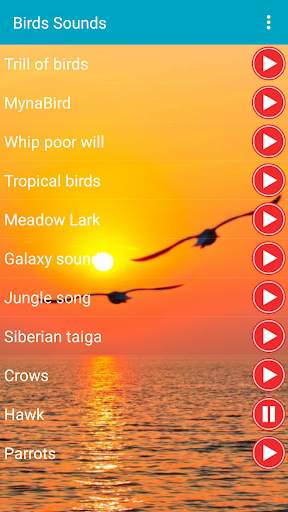 Birds Calls Sounds Ringtones स्क्रीनशॉट 4