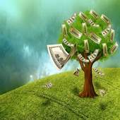 Money Plant 1.0