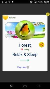 Bird Sounds screenshot 8