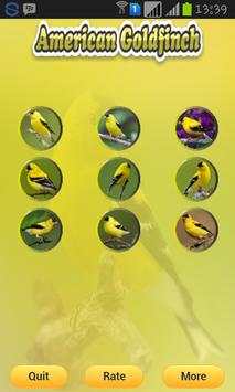 American Goldfinch screenshot 1