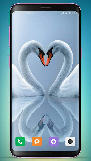 Swan Wallpaper screenshot 3